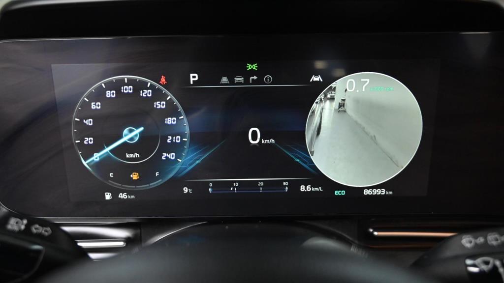 KIA Carnival - Vista 11