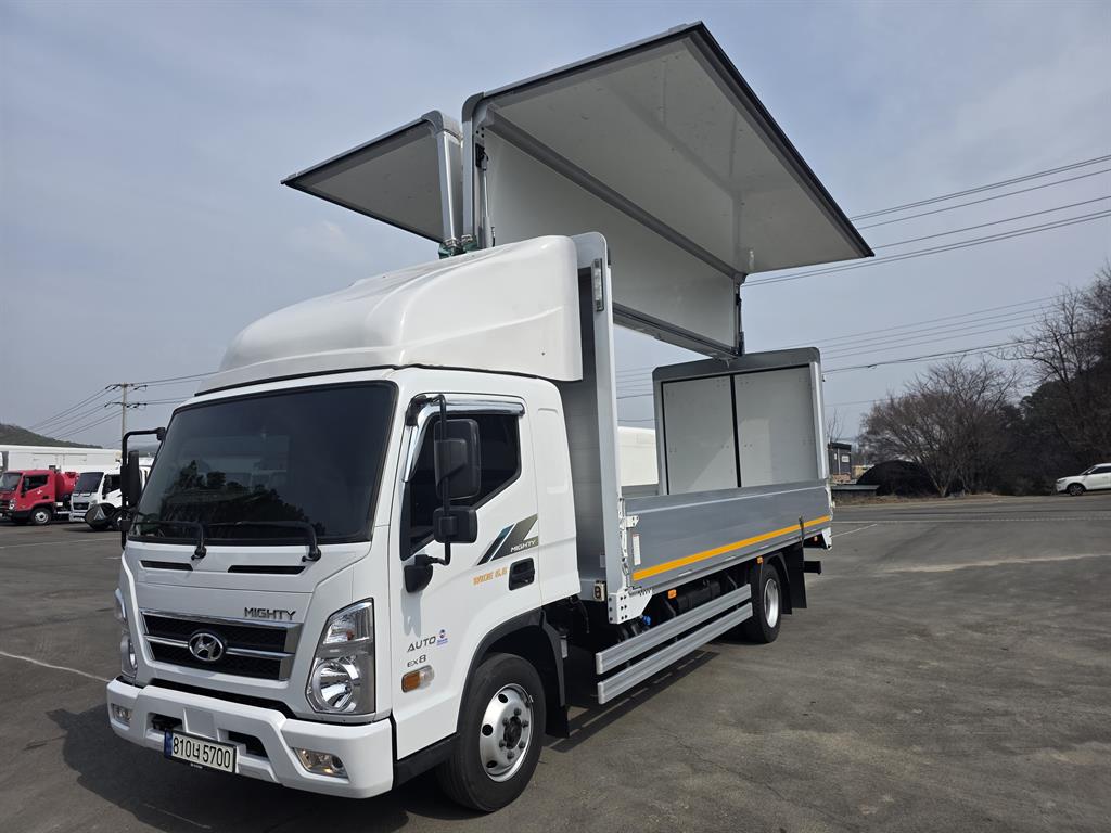 medium and large cargo truck - Vista 9