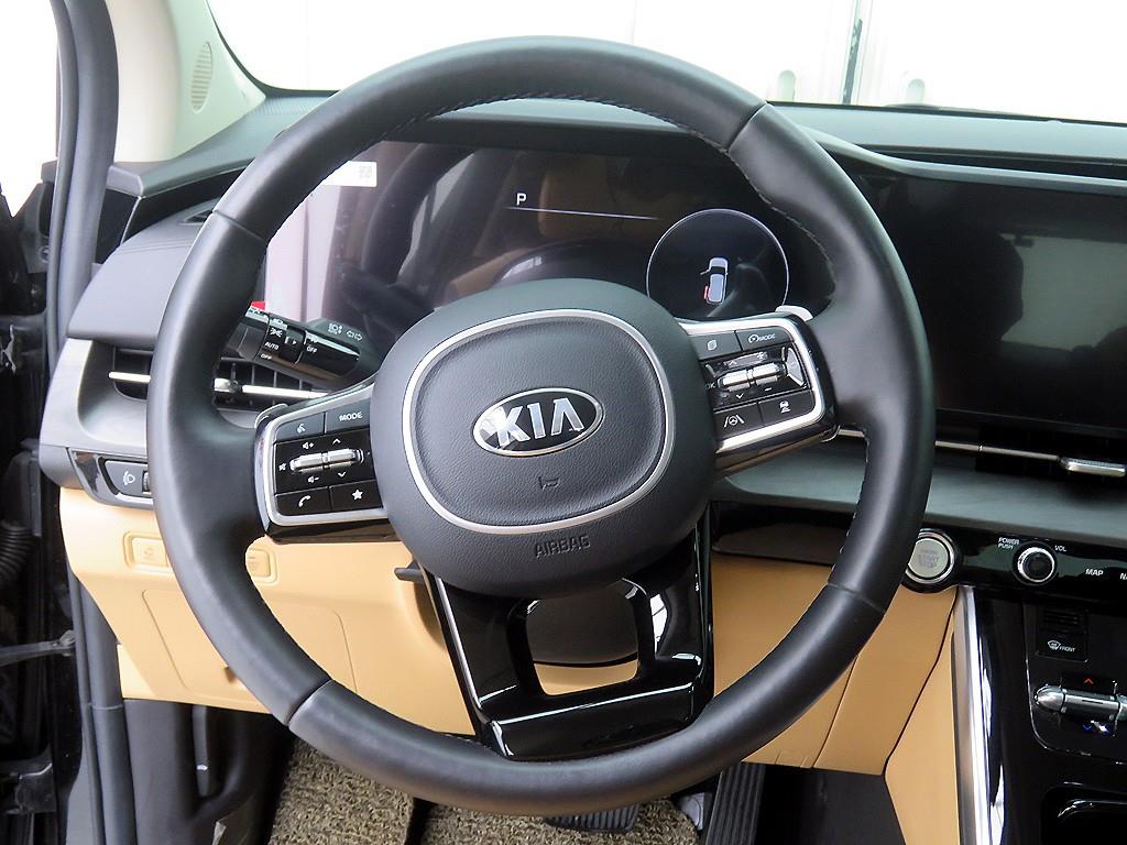 KIA Carnival - Vista 10