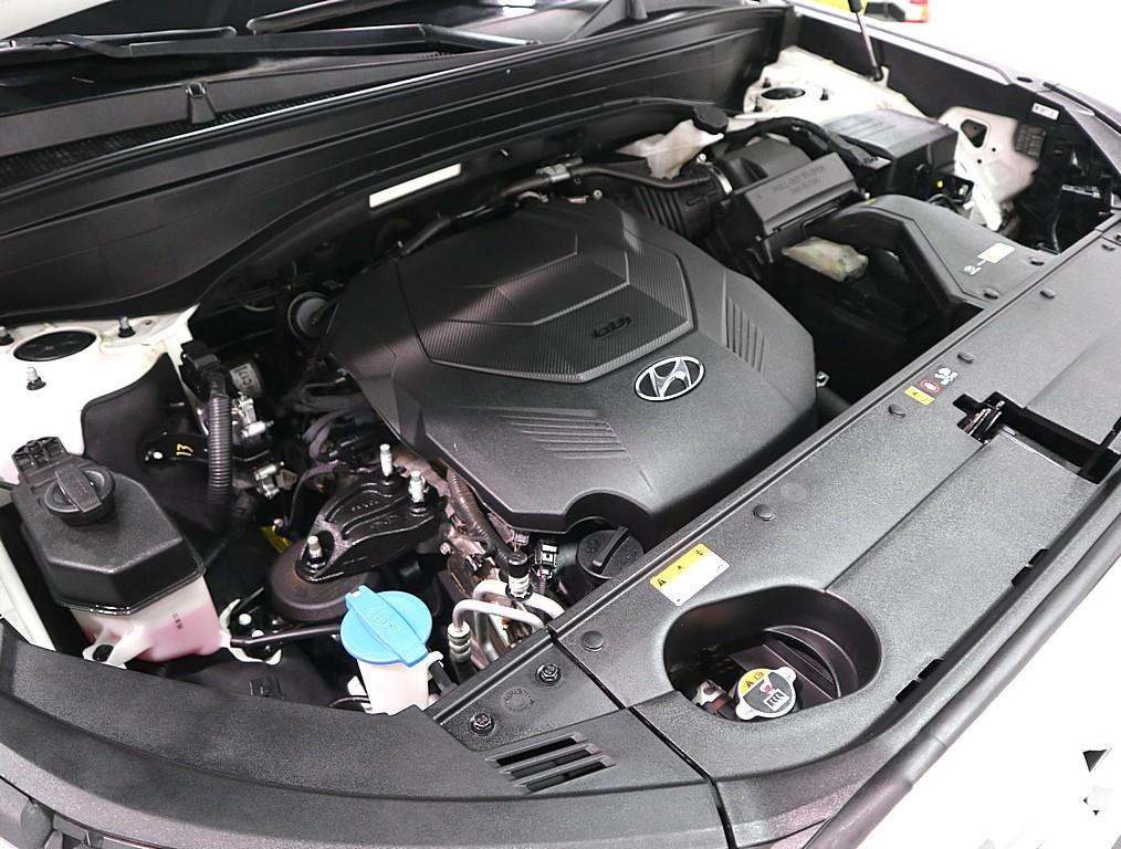 HYUNDAI Palisade - Vista 6