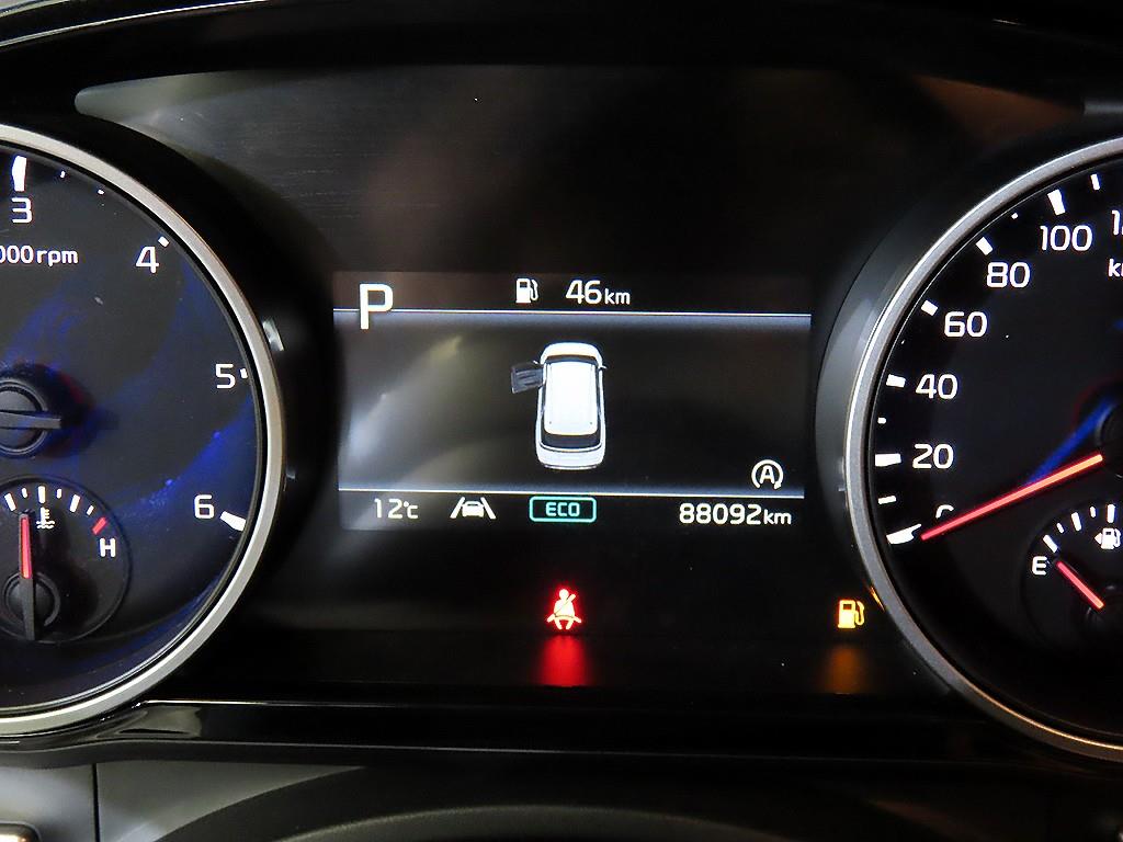 KIA Carnival - Vista 9