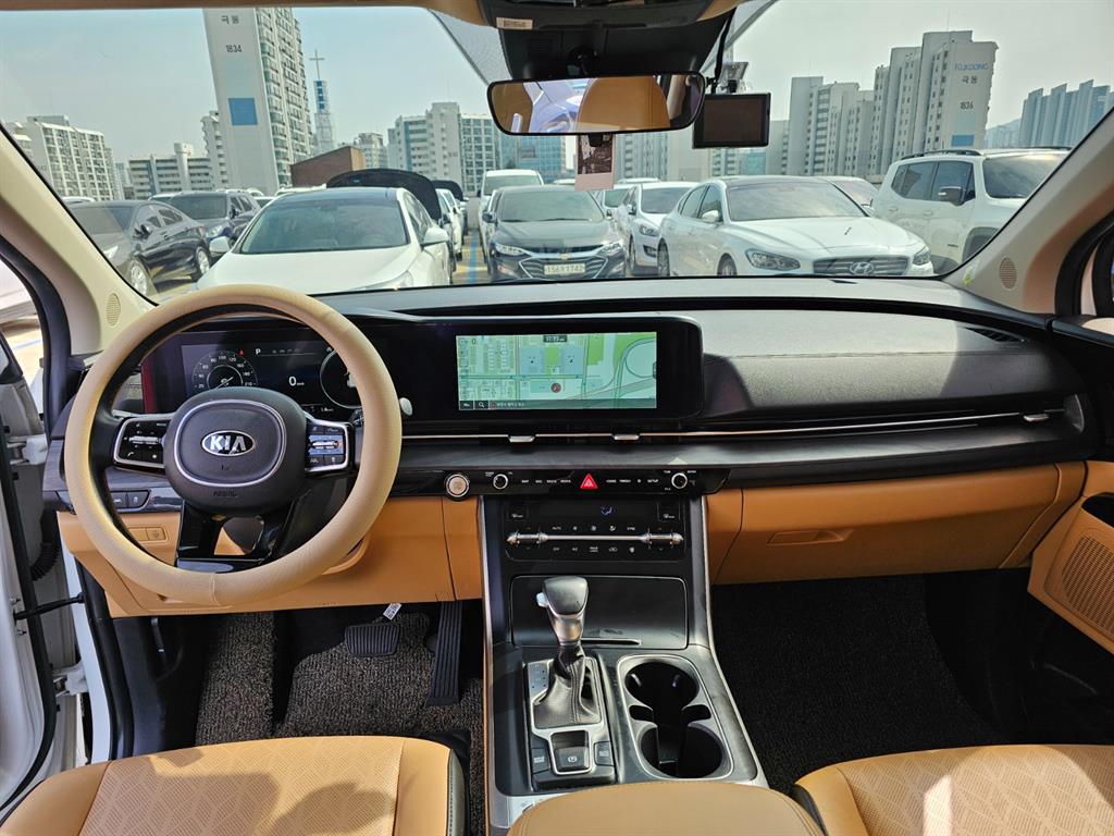 KIA Carnival - Vista 12