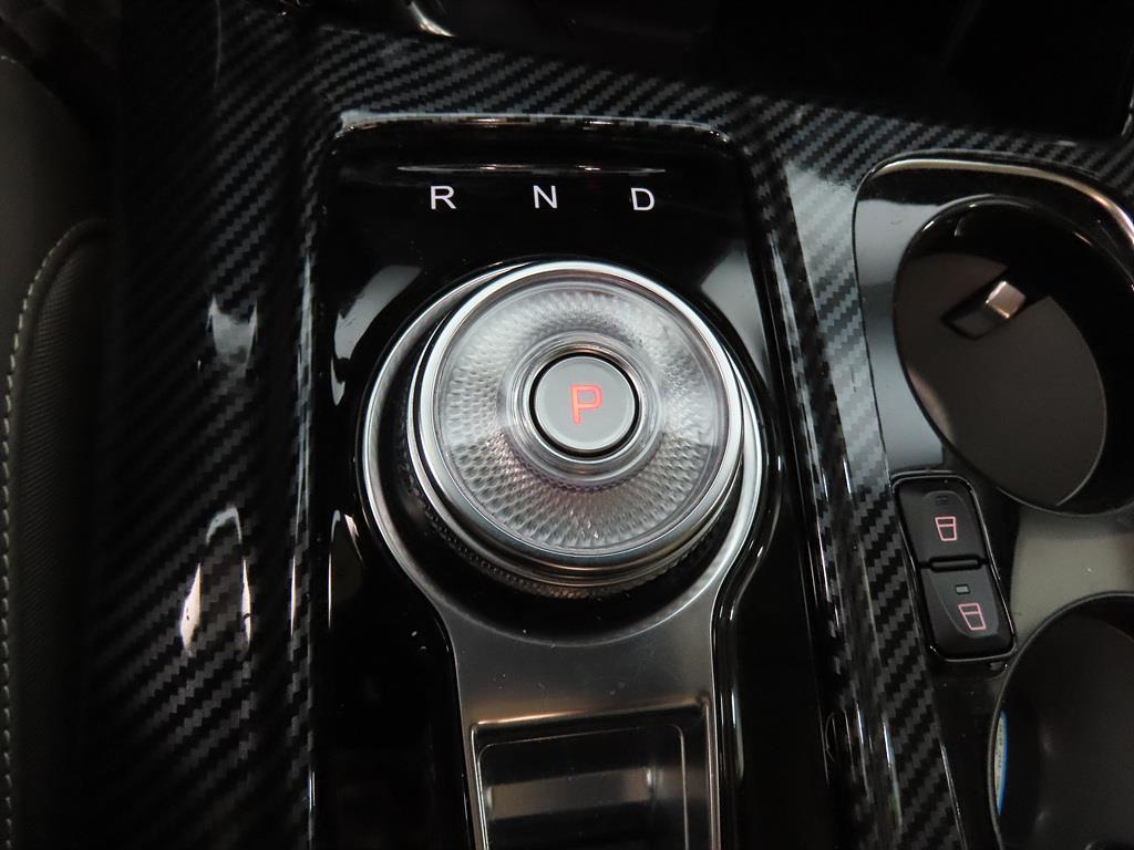 KIA Carnival - Vista 12