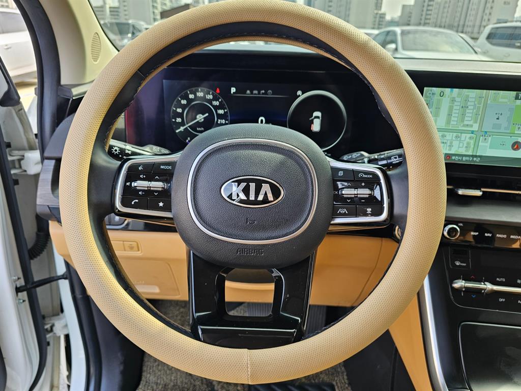 KIA Carnival - Vista 11