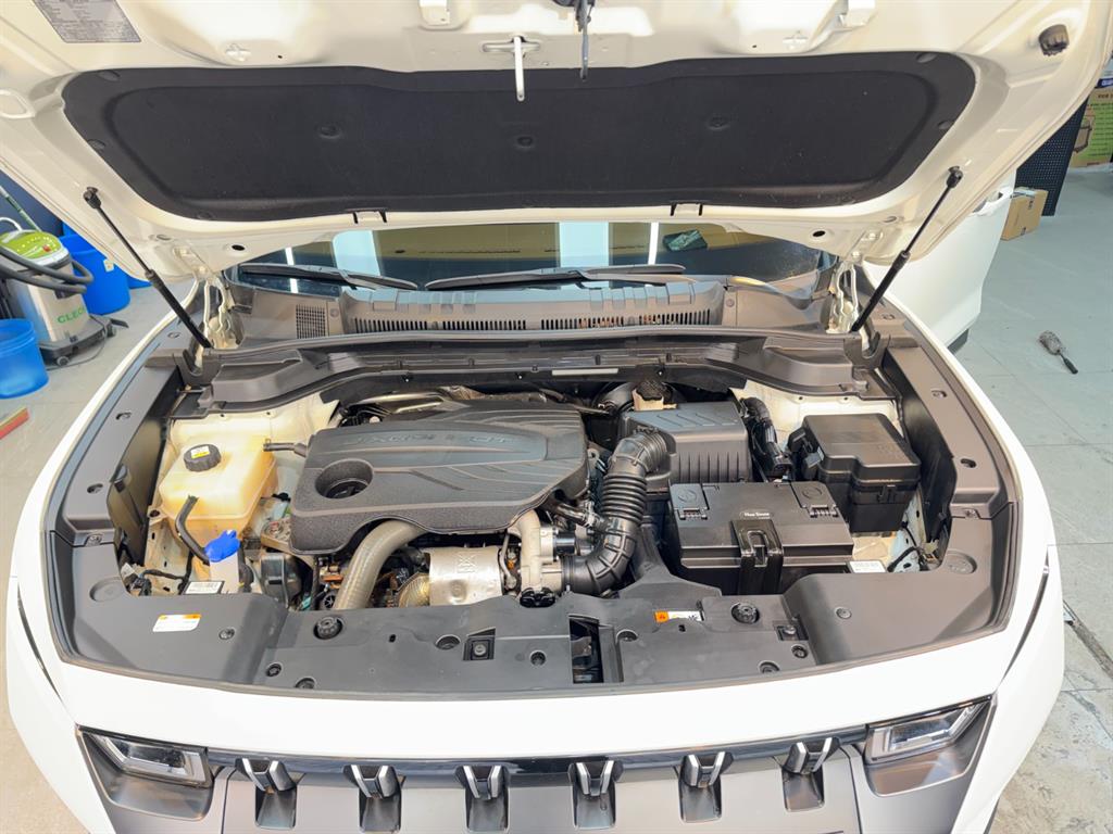 Ssangyong Torres - Vista 6