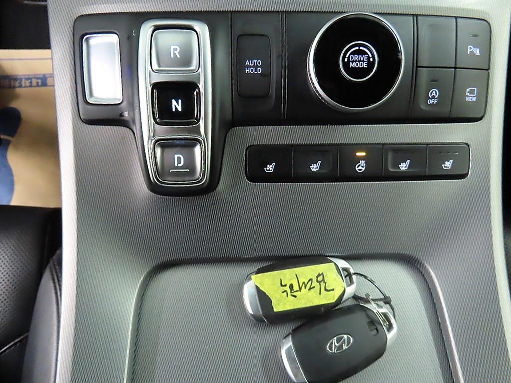 HYUNDAI Palisade - Vista 10