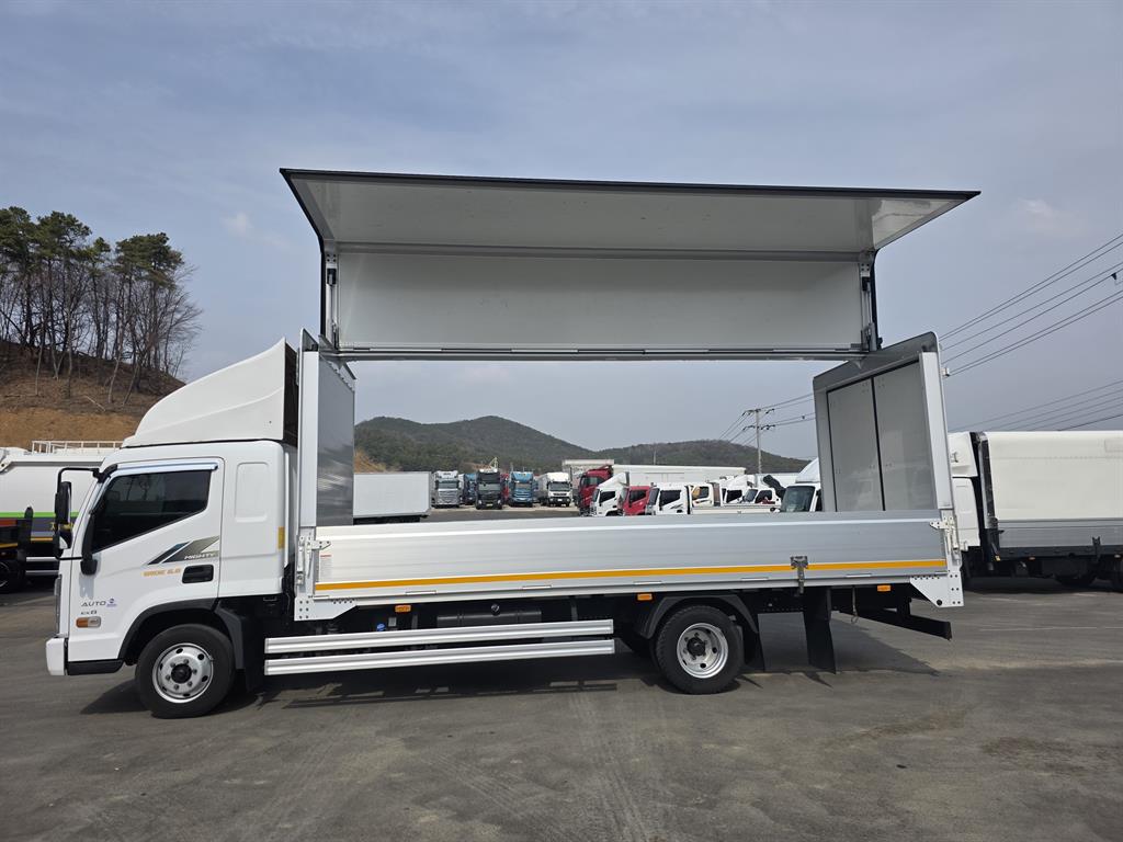 medium and large cargo truck - Vista 10