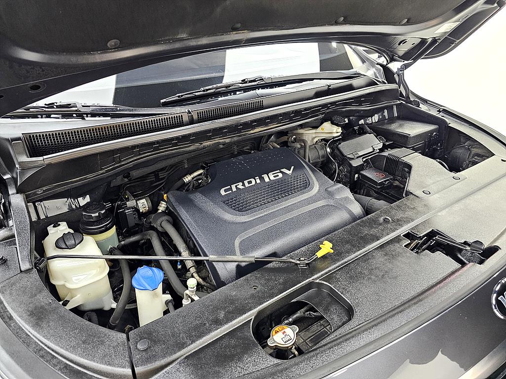 KIA Carnival - Vista 6