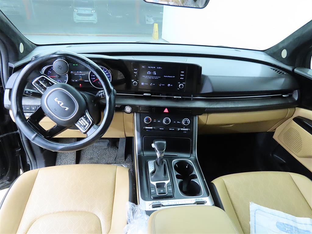 KIA Carnival - Vista 8