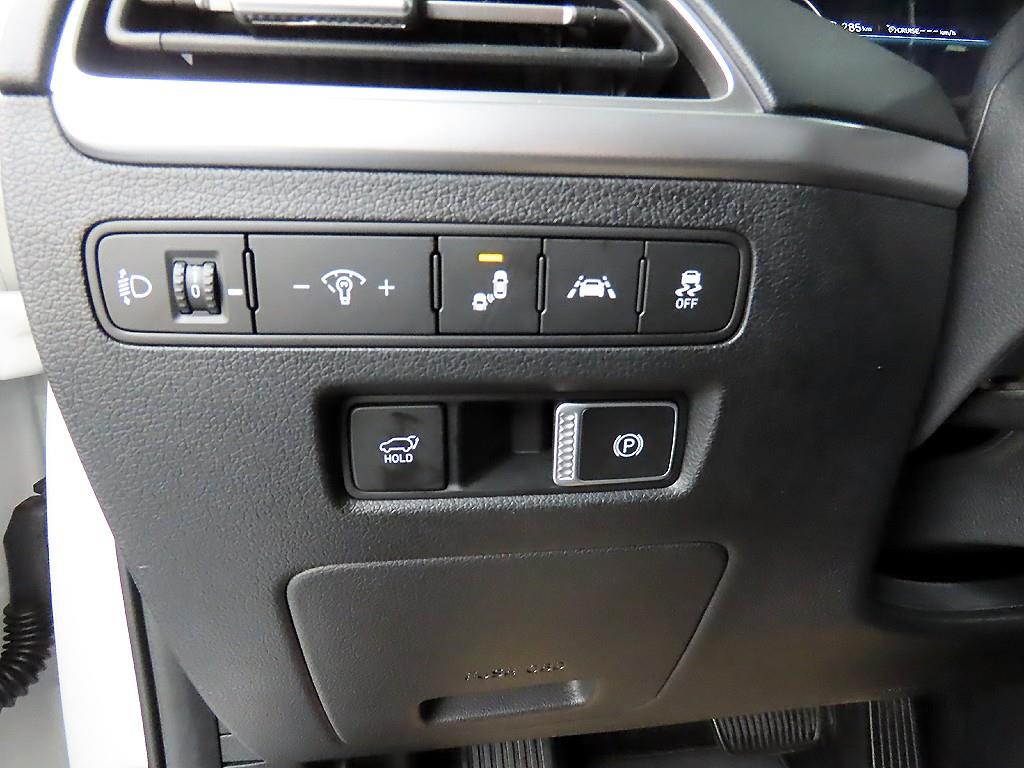 HYUNDAI Palisade - Vista 12