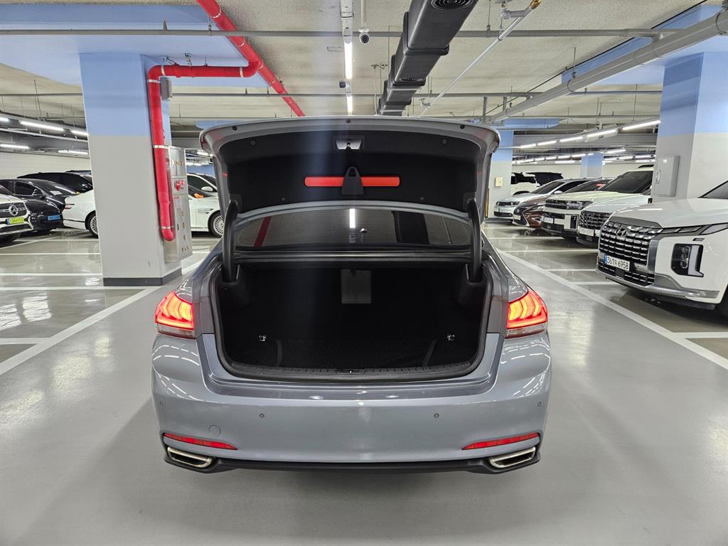 HYUNDAI Genesis - Vista 6