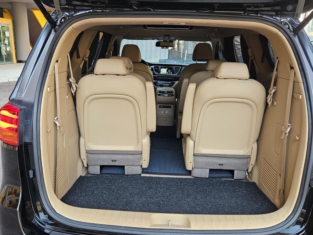 KIA Carnival - Vista 12