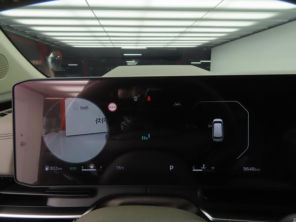 KIA Carnival - Vista 12