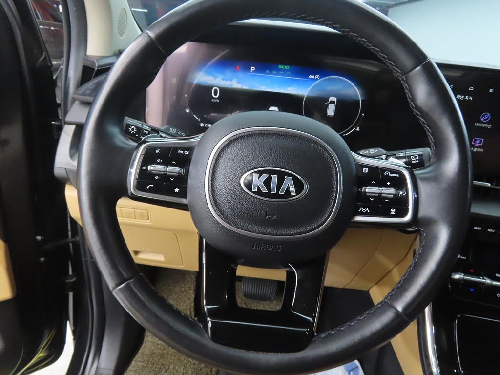 KIA Carnival - Vista 8