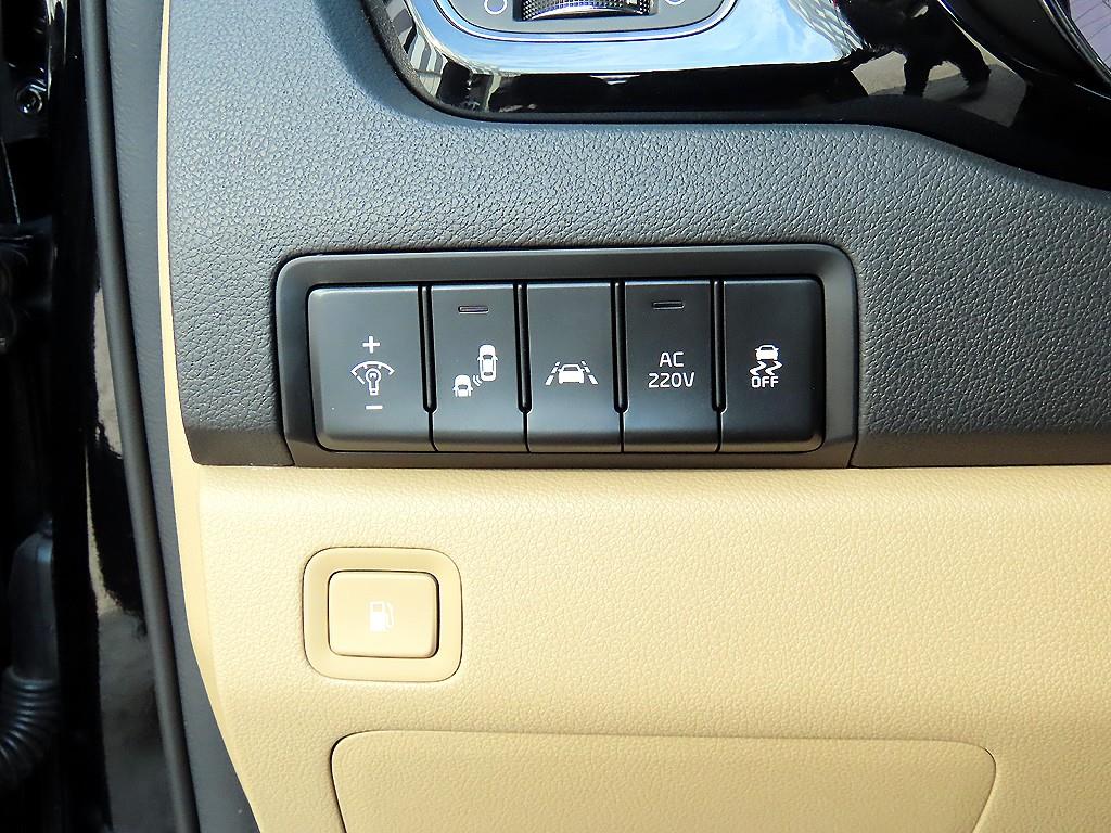 KIA Carnival - Vista 12