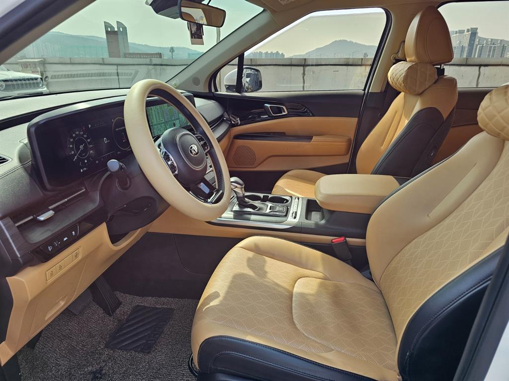 KIA Carnival - Vista 8