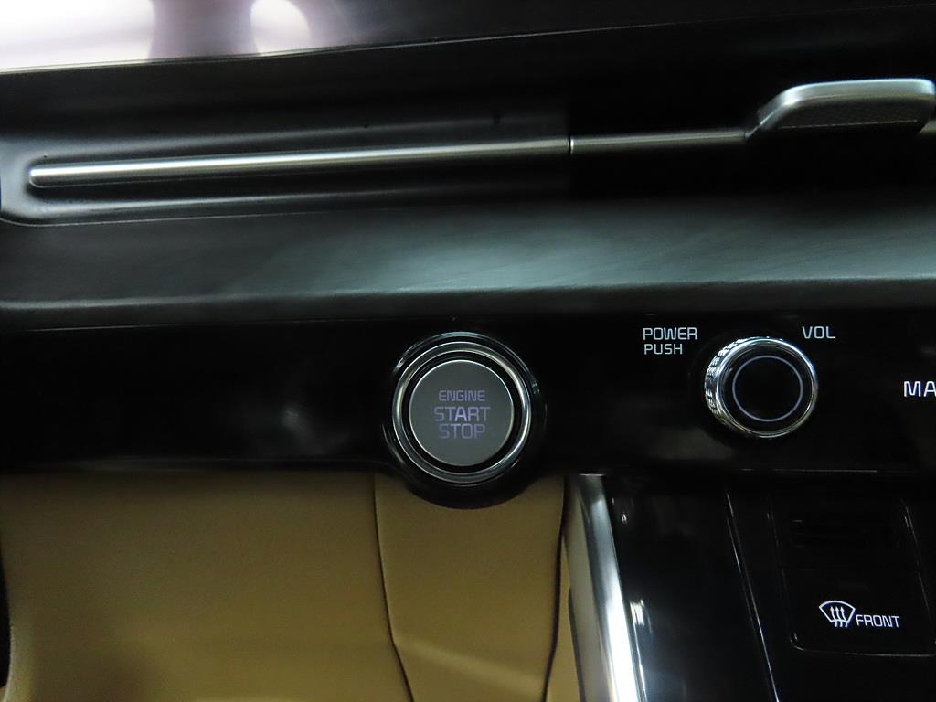 KIA Carnival - Vista 12