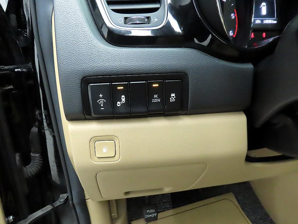 KIA Carnival - Vista 12