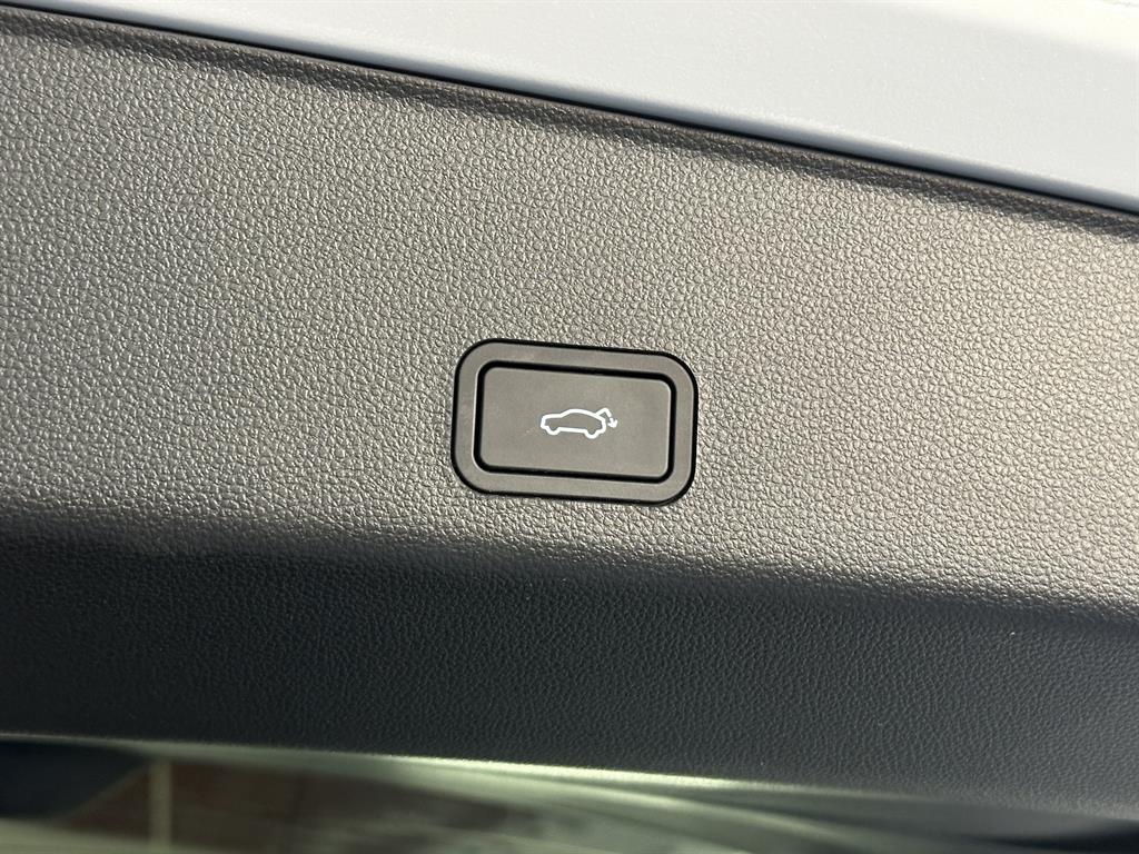 SAMSUNG Grand Koleos - Vista 10