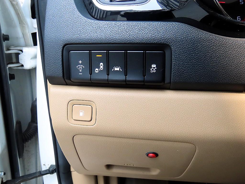 KIA Carnival - Vista 12