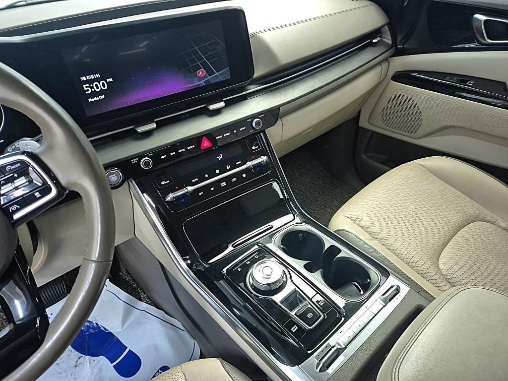 KIA Carnival - Vista 10