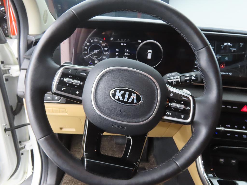 KIA Carnival - Vista 8