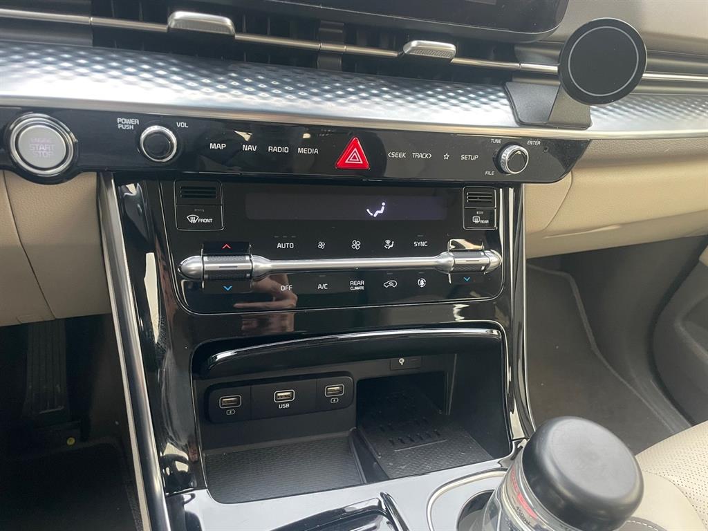 KIA Carnival - Vista 12