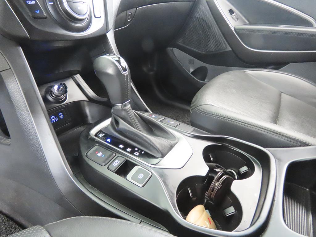 HYUNDAI Maxcruz - Vista 11