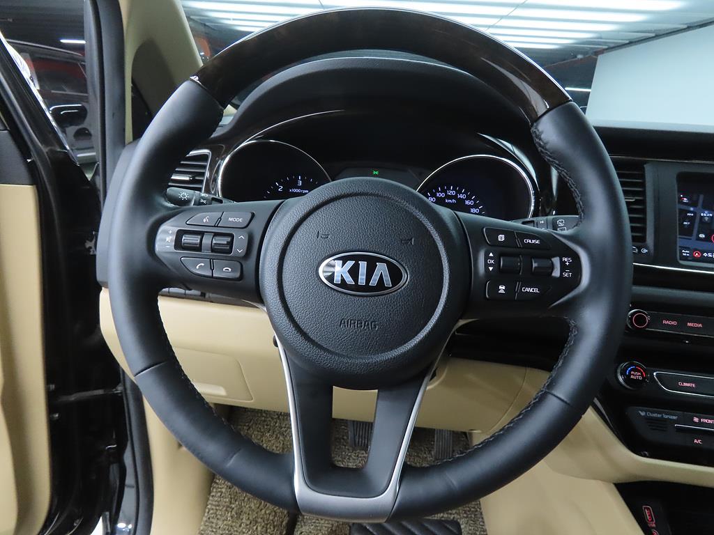 KIA Carnival - Vista 8