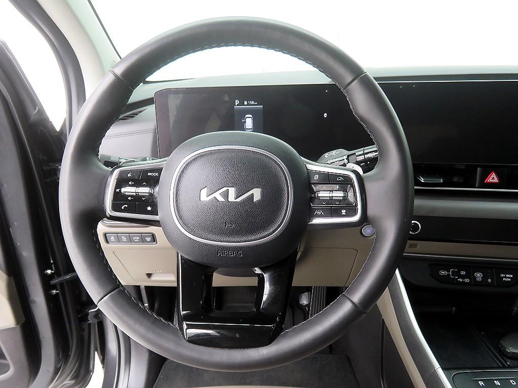 KIA Carnival - Vista 12