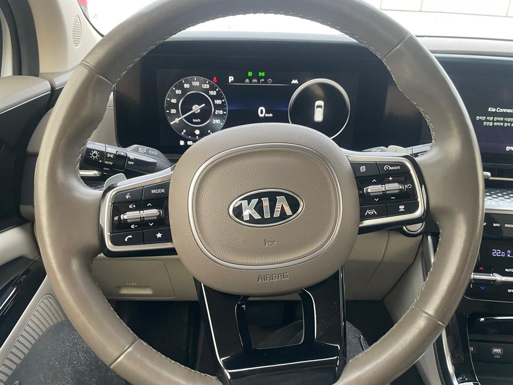 KIA Carnival - Vista 7