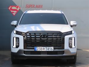 HYUNDAI Palisade - Vista 4