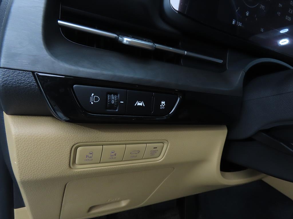 KIA Carnival - Vista 12