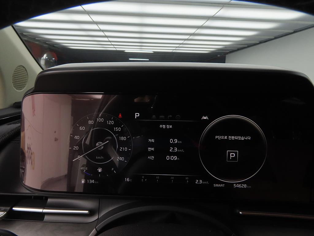 KIA Carnival - Vista 9