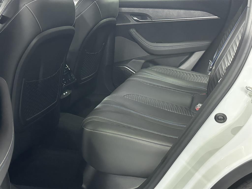 SAMSUNG Grand Koleos - Vista 8