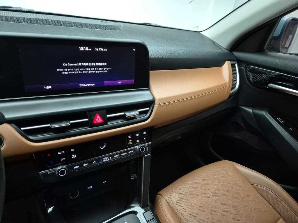 KIA Seltos - Vista 10