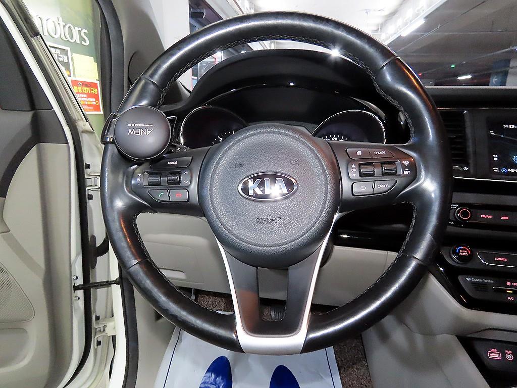 KIA Carnival - Vista 8