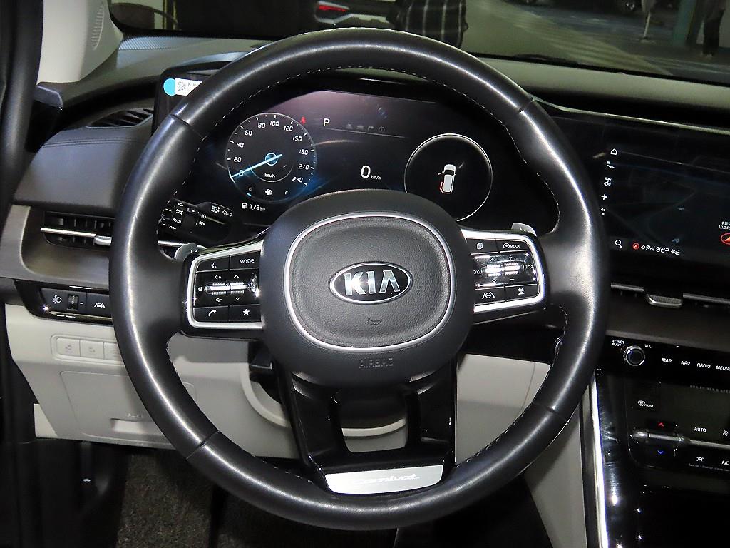 KIA Carnival - Vista 8