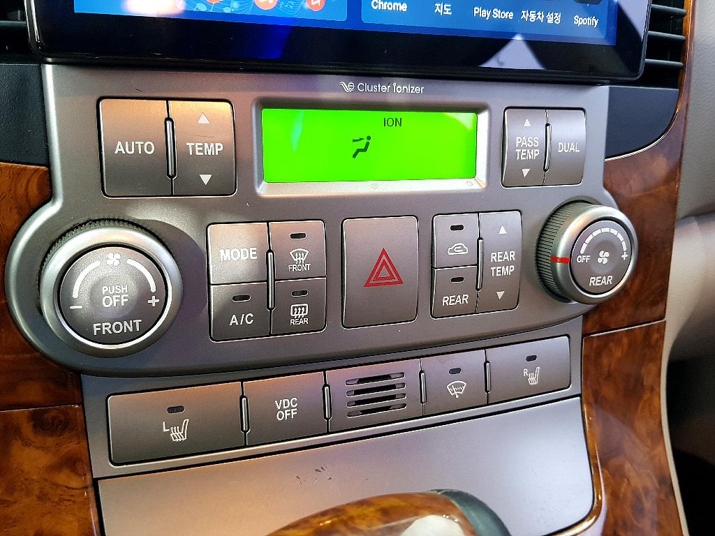 KIA Carnival - Vista 12