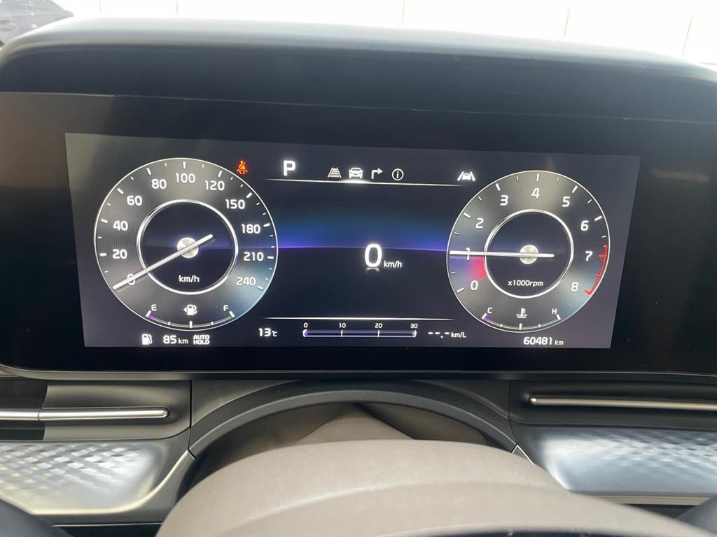 KIA Carnival - Vista 8