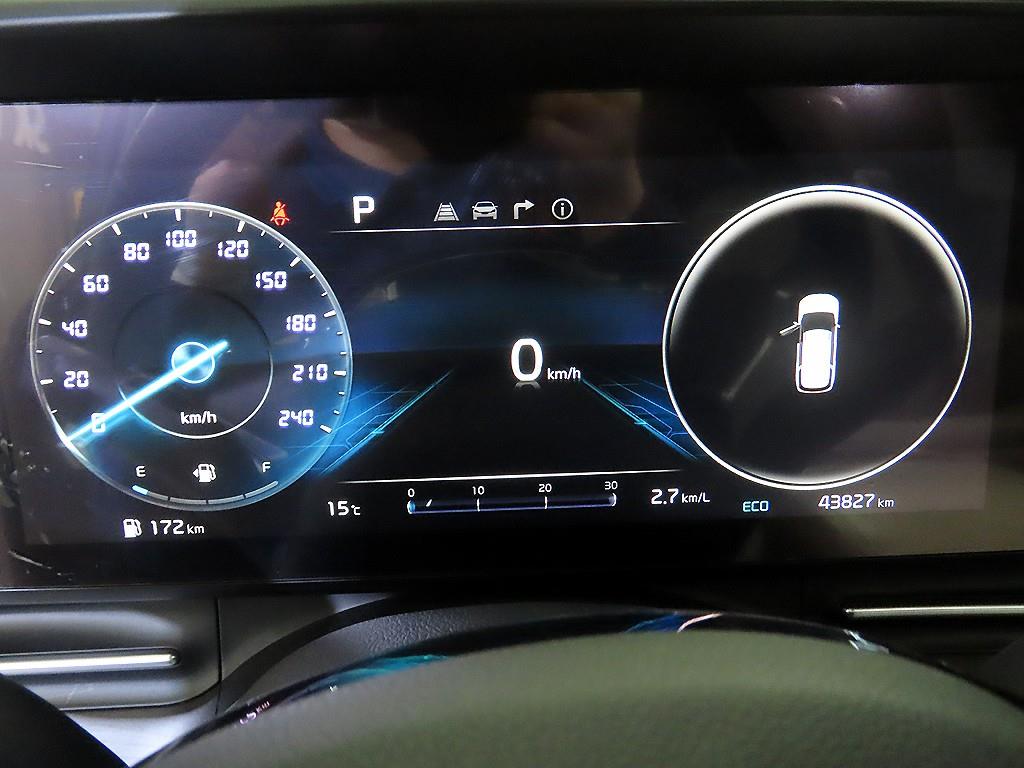 KIA Carnival - Vista 9