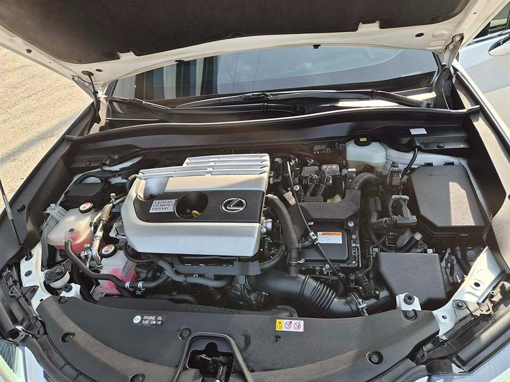 Lexus UX 2019 Blanco - Importación desde Corea - HF Imports Iquique - Foto 19