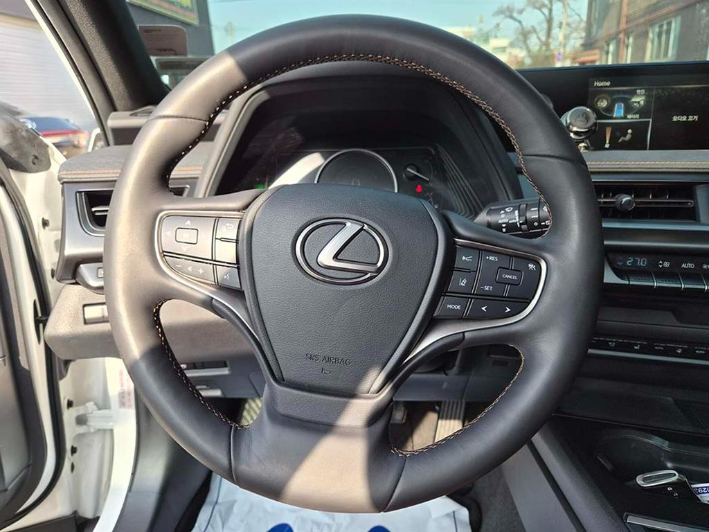 Lexus UX - Vista 8