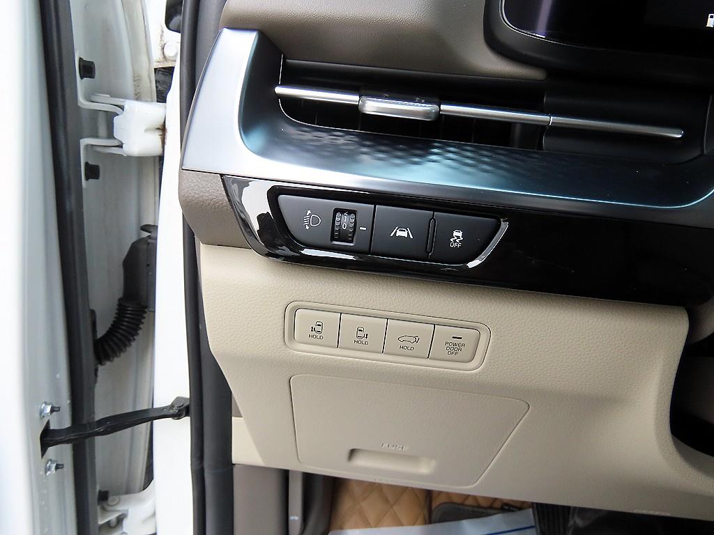 KIA Carnival - Vista 12