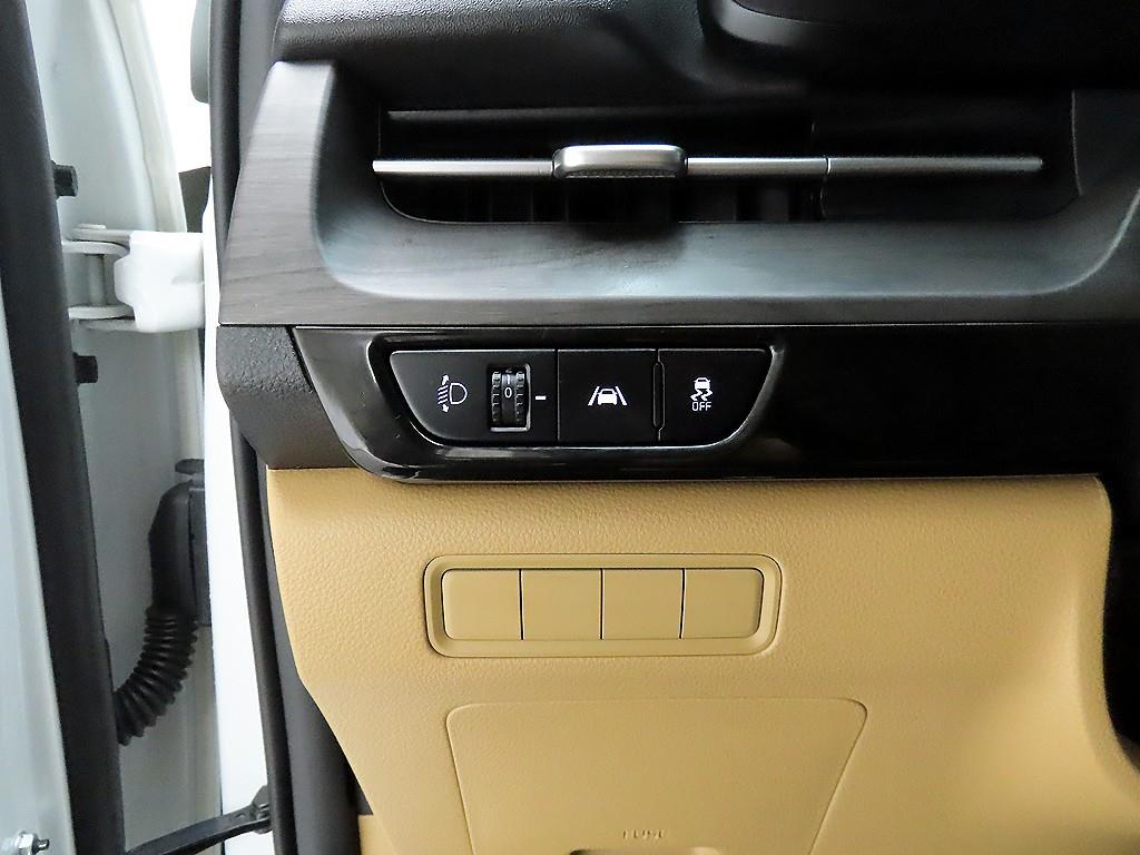 KIA Carnival - Vista 12