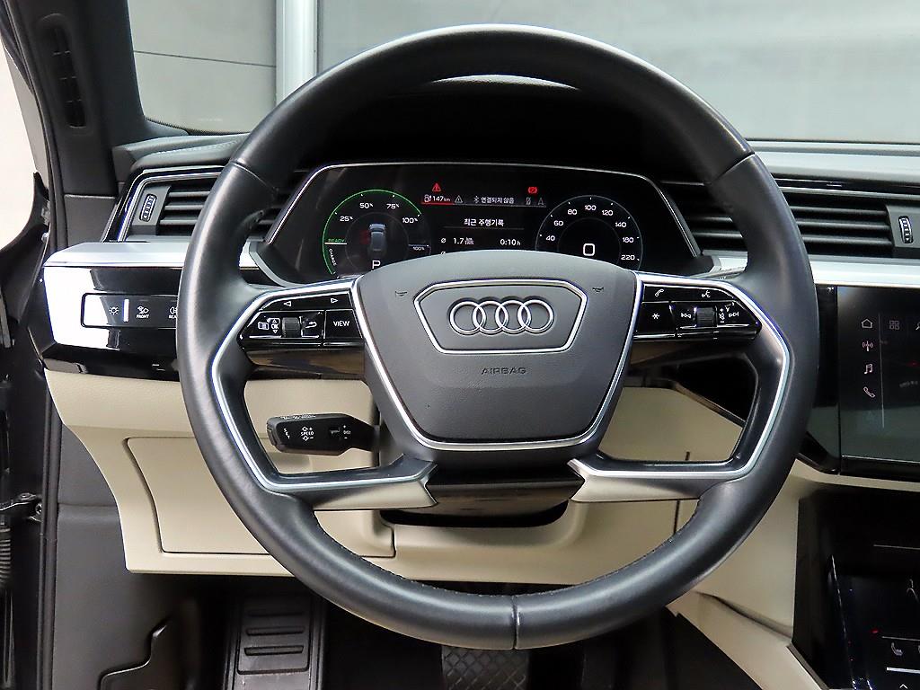 Audi e-Tron - Vista 9