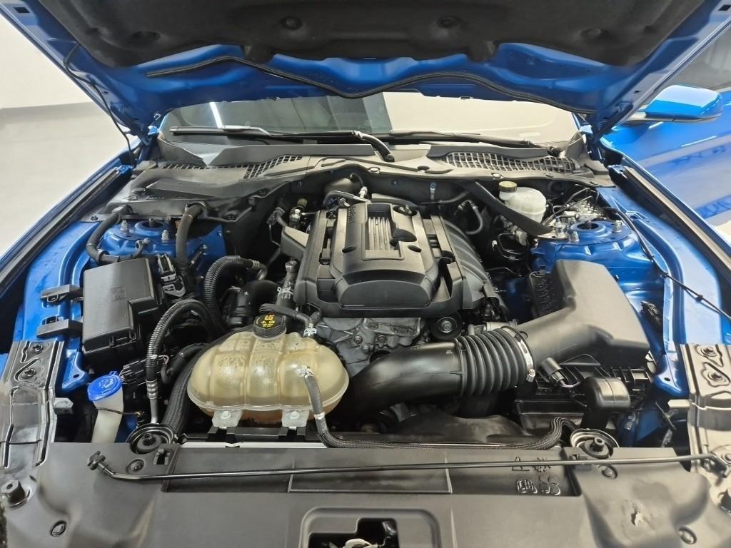 Ford Mustang - Vista 5