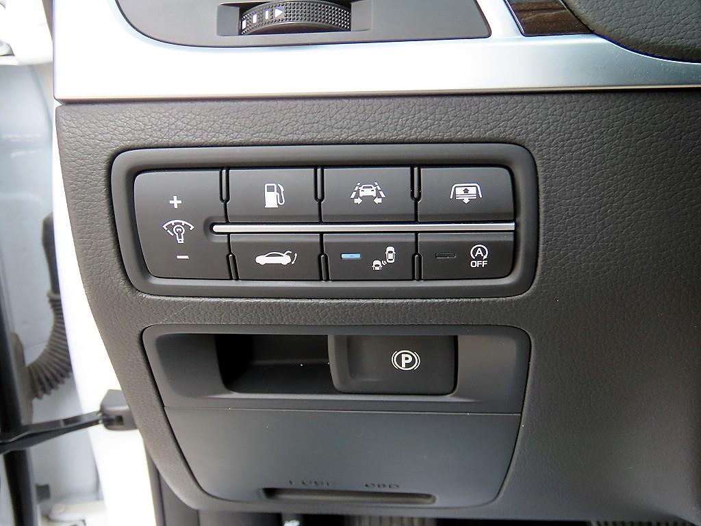 Genesis G80 - Vista 12