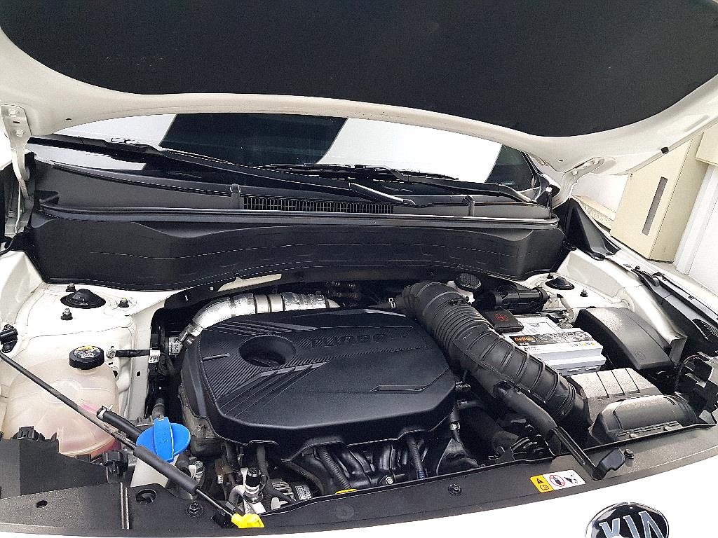 KIA Seltos - Vista 6