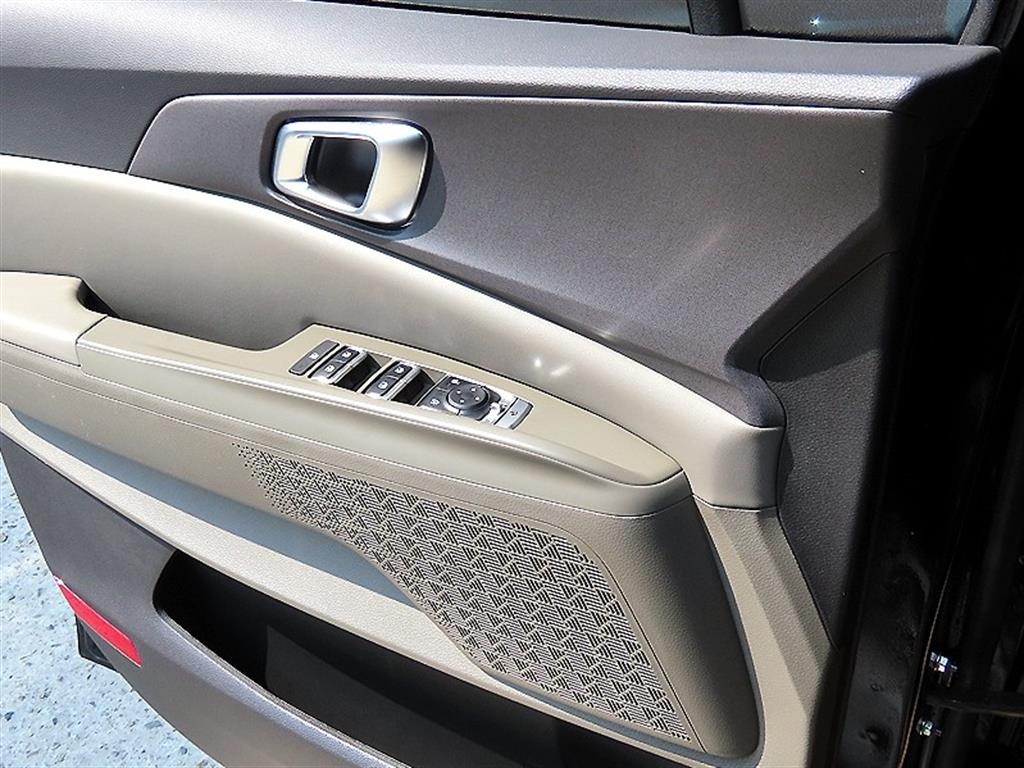 KIA Carnival - Vista 12